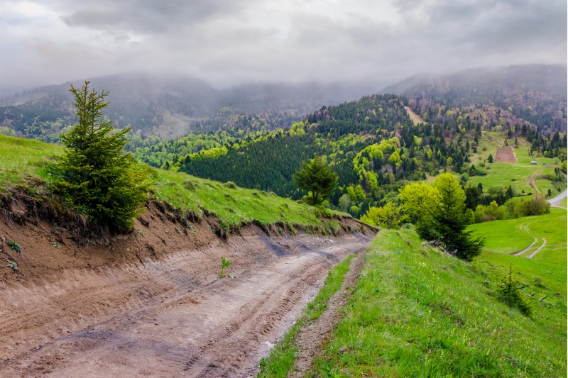 springtime in Carpathian mountains. beautiful scenery on a rainy day with overcast sky. country road runs uphill through grassy hill in to the distance