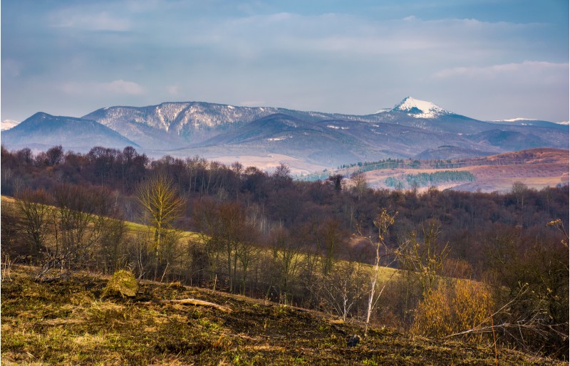 springtime landscape in Carpathian mountains. mountain ridge with Pikui snowy peak in the distance