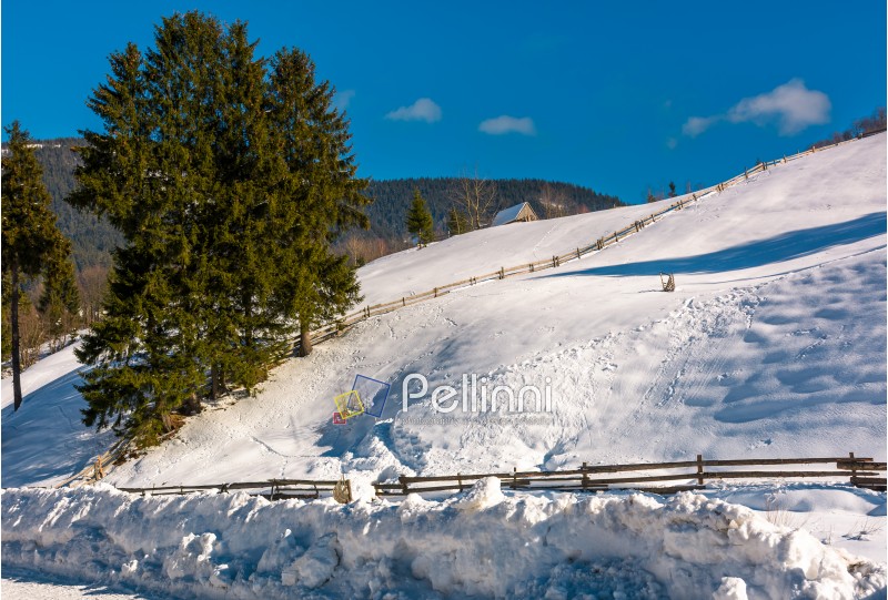 spruce trees, woodshed and fence on snowy slope. beautiful mountainous countryside on a bright winter day