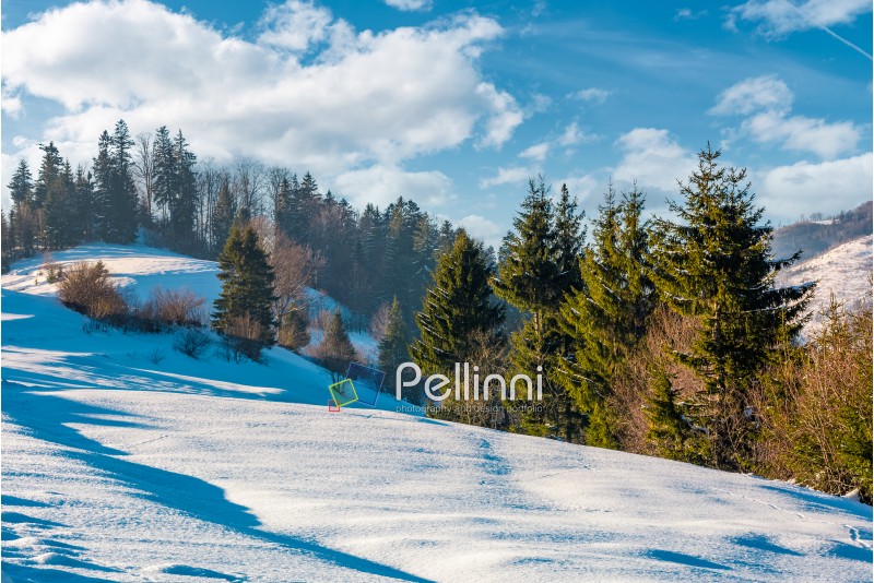 spruce trees on a snowy mountain slope. beautiful winter scenery on a bright sunny day