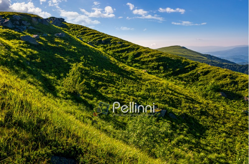 steep grassy slope in summer mountain. fresh and clear morning weather