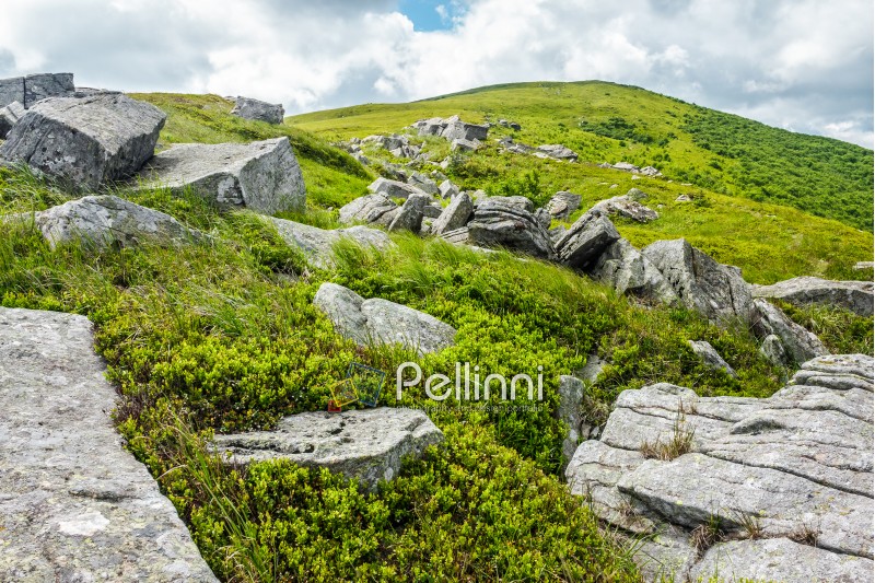 white sharp stones and boulders on the hillside on top of  Carpathian mountain range