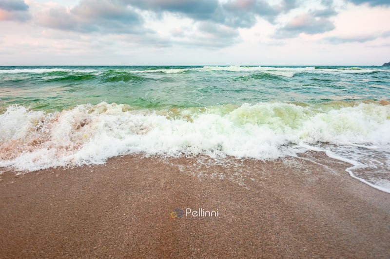 storm on the sandy beach in the afternoon. dramatic sea view wit storm on the sandy beach in the afternoon. dramatic sea view with cloudy sky. salt water and crashing waves. view of bulgaria beach in summer. wind weather background