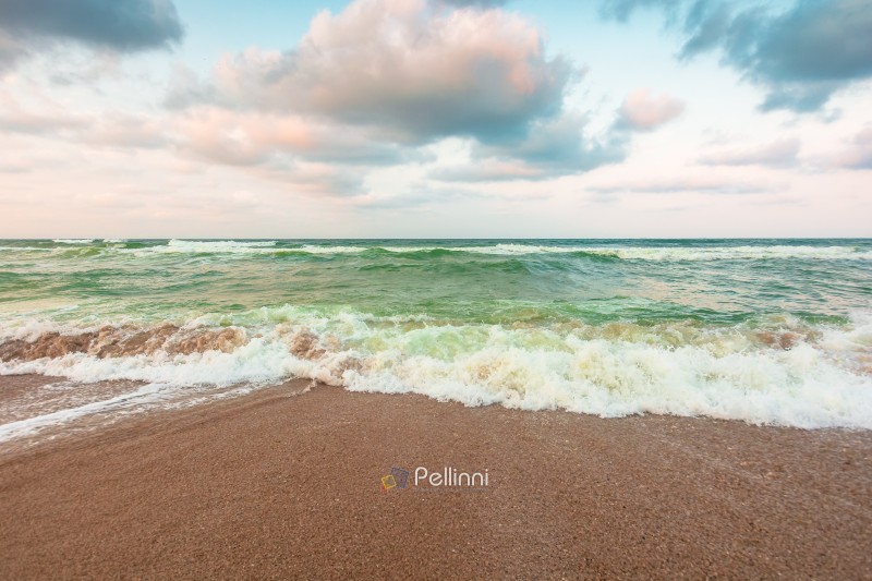 storm on the sandy beach in the afternoon. dramatic sea view with cloudy sky. salt water and crashing waves. view of bulgaria beach in summer. wind weather background