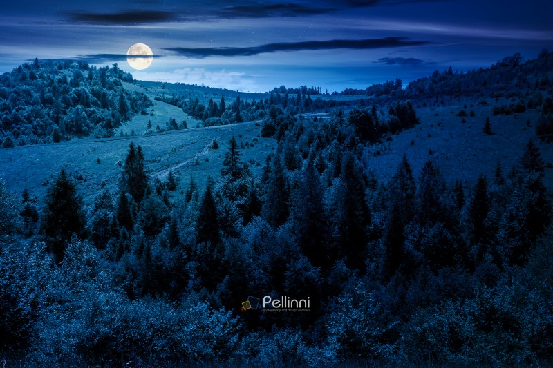 summer landscape with forest on the hill at night. scenic view of highlands in full moon light. mysterious environment with trees in green foliage. scenery under dark blue sky
