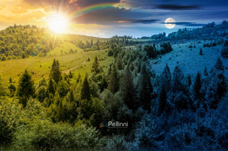 summer landscape with forest on the hill. scenic view of highlands with sun and moon at twilight. mysterious environment with trees in green foliage. scenery under dark blue sky and rainbow