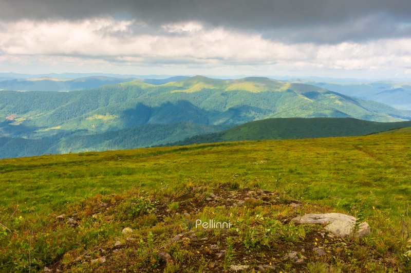 summer landscape with mountain range in cold weather. beautiful green environment of ukrainian highland before the rain. alpine scenery under cloudy sky in dappled light