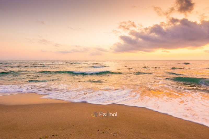 summer vacation at the sea. tranquil splash. beautiful purple pink seascape at sunrise. calm waves wash the golden sandy beach. fluffy clouds on the sky. tourism paradise