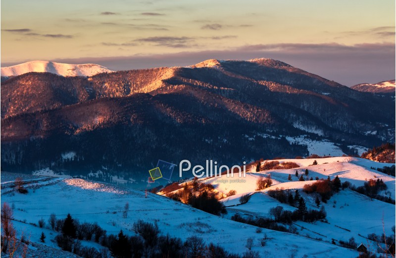 sunrise in snowy Carpathian mountains. beautiful winter nature landscape