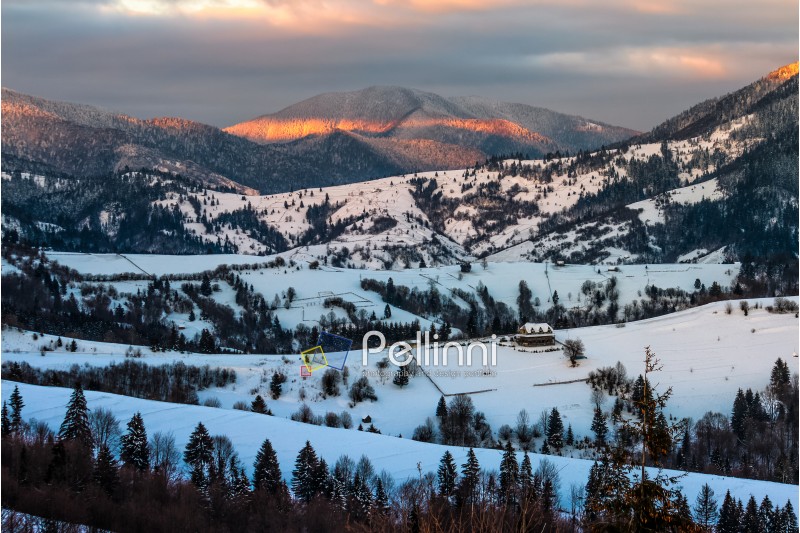 carpathian mountain rural area near peaks in snow on frosty sunrise in winter