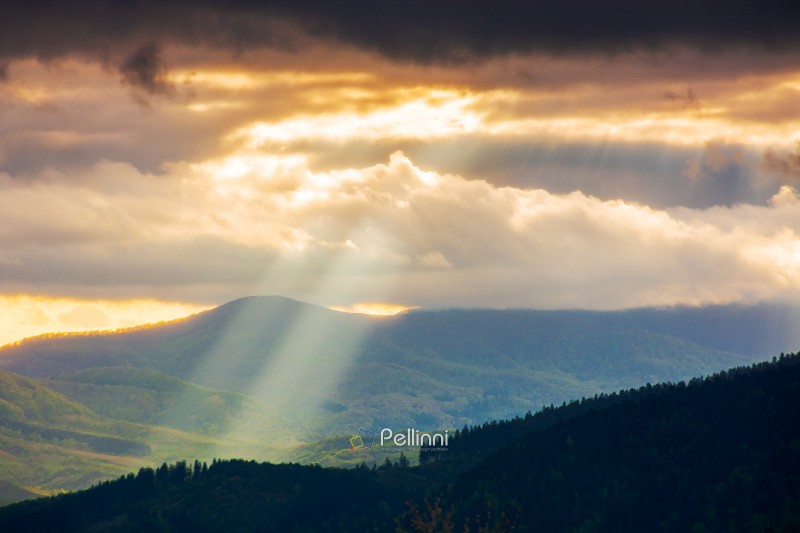sunset over carpathian mountain landscape during spring. alpine scenery with god rays coming through clouds on rolling hills under overcast sky. ukraine countryside with epic light in the valley