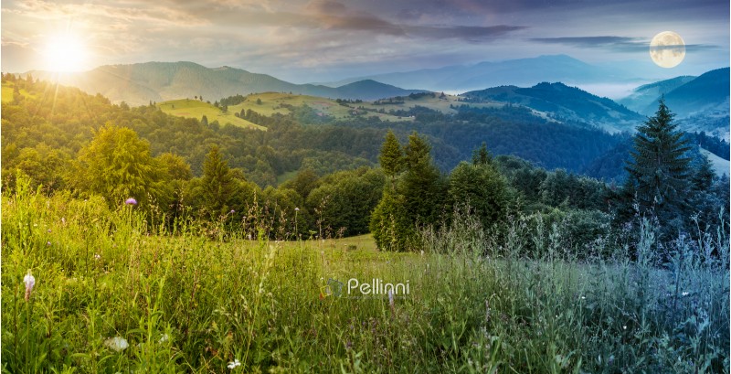 time change above panorama of a beautiful meadow in mountains. spruce trees on a hillside. rolling hills fall down in to the foggy valley in the distance. wonderful summer landscape with sun and moon