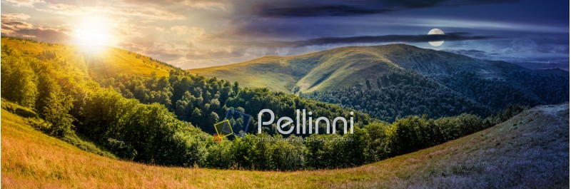 day and night change concept. composite image of panoramic summer landscape. hillside meadow near the forest in Carpathian mountains