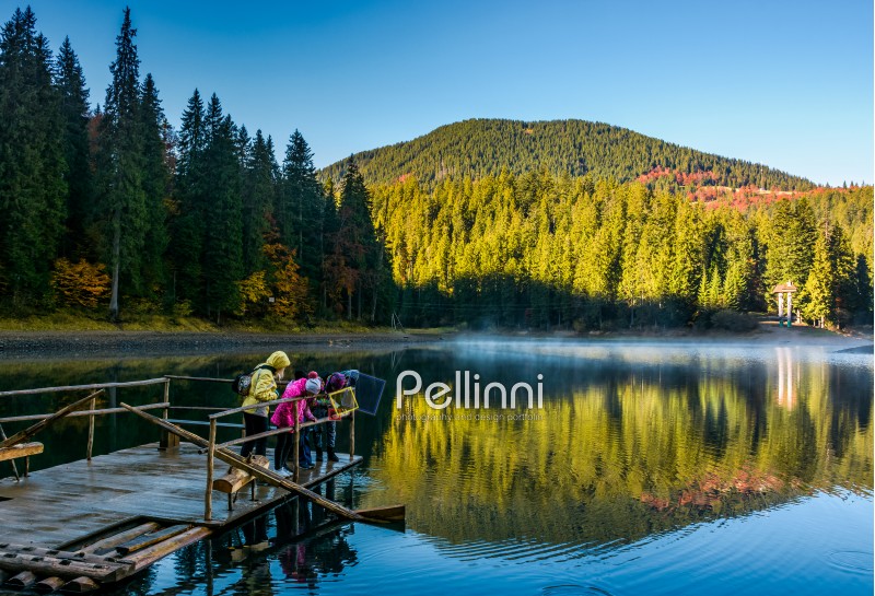 National Park Synevyr, Ukraine - October 23, 2016: tourists on Synevyr lake feed fish from the raft. high altitude mountain lake among spruce forest on beautiful foggy morning