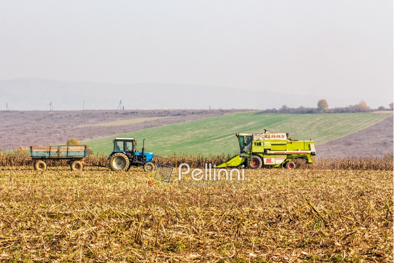 Mukachevo, Ukraine - November 6 2015: tractor and harvester in the field among the corn stalks in late fall  haze day