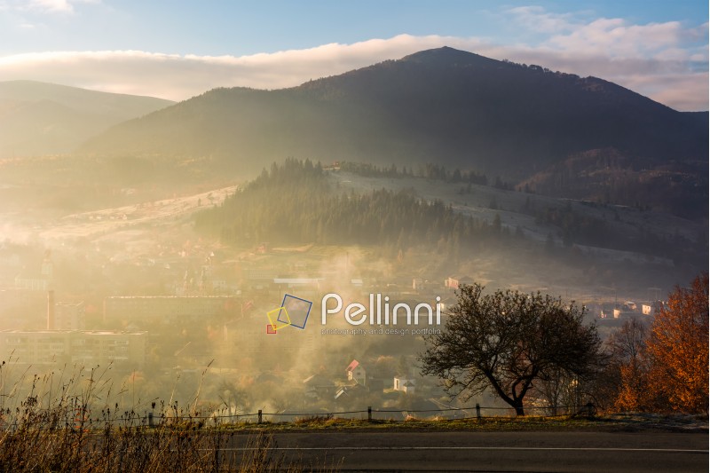 tree by the countryside road on foggy sunrise. beautiful mountainous scenery with village down the valley in late autumn