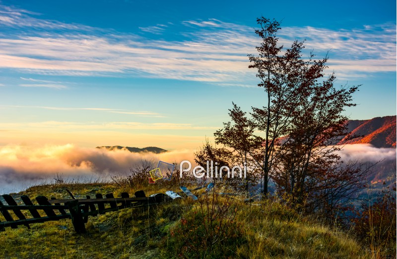 tree on a hump above the ridge and clouds at sunrise. exquisite autumnal scenery in mountainous landscape