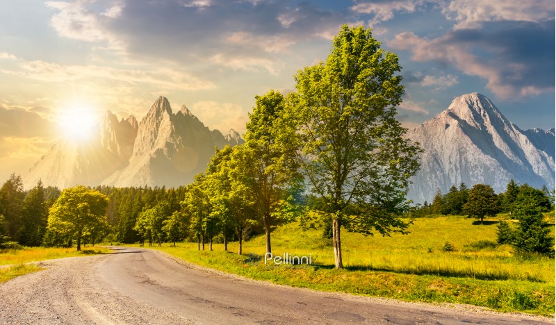 trees along the road in to the mountains at sunset. composite mountainous landscape with rocky peaks. beautiful summer nature with gorgeous sky. travel and explore unknown places concept