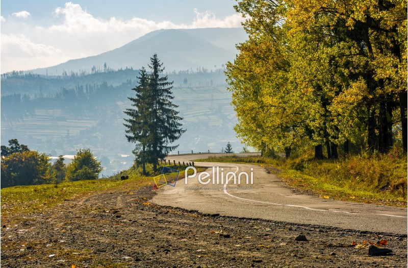 trees on serpentine on autumn day. lovely scenery in Carpathian countryside