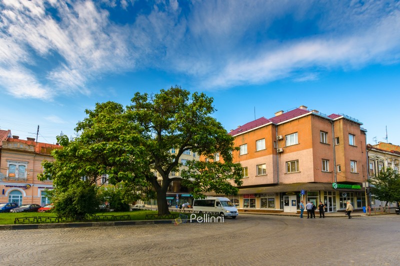 uzhhorod, ukraine - 11 jun 2017: koriatovycha square of old city with paulownia tree in morning light. nice place of historical centre. capital of transcarpathia. peaceful blue sky during summer