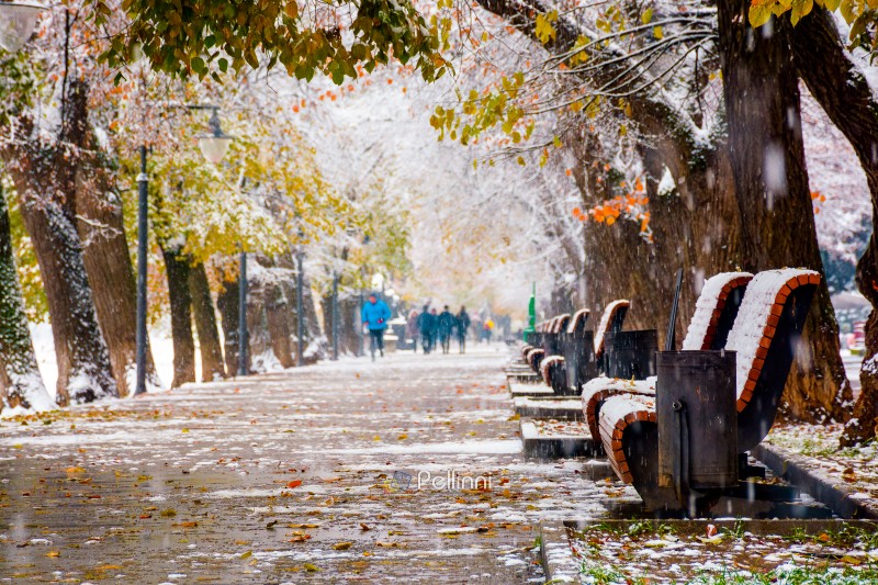 uzhhorod, ukraine - 29 nov 2020: linden alley in autumn first sn uzhhorod, ukraine - 29 nov 2020: linden alley in autumn first snowfall. leaves and snow cover wet street. trees in colorful foliage. empty benches on the embankment. beautiful urban landscape