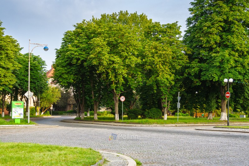 uzhhorod, ukraine - jun 03 2012: cobbled street of old town in summer. winding path through park near narodna square in morning light