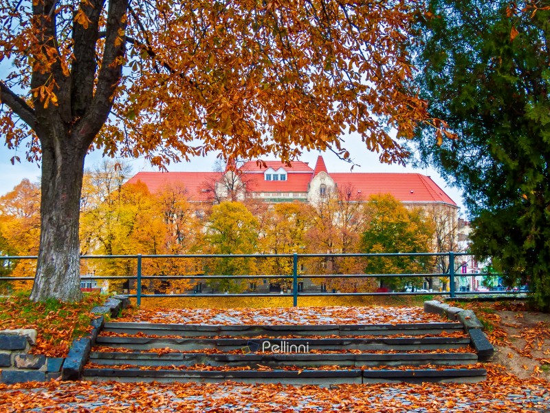 uzhhorod, ukraine - nov 04, 2007: urban landscape. wet street of the old town after rain. with trees in orange foliage