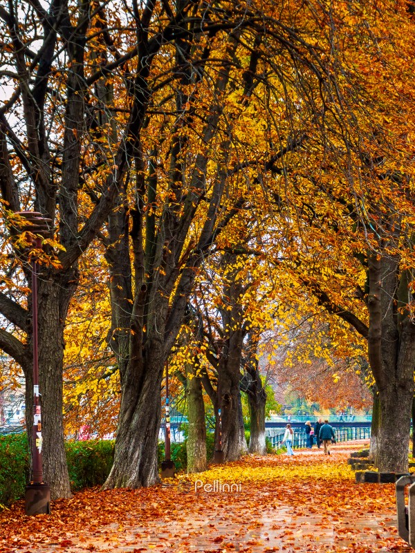 uzhhorod, ukraine - nov 04, 2007: urban landscape. wet street of the old town after rain. with trees in orange foliage