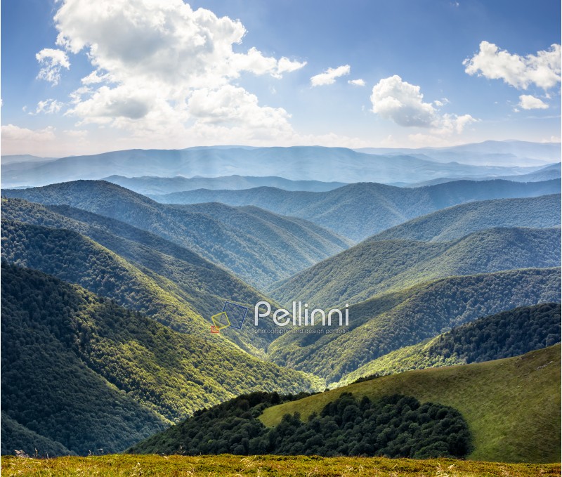 valley between green hills of Carpathian mountain range in summer
