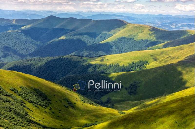 valley between green hills of Carpathian mountain range in summer