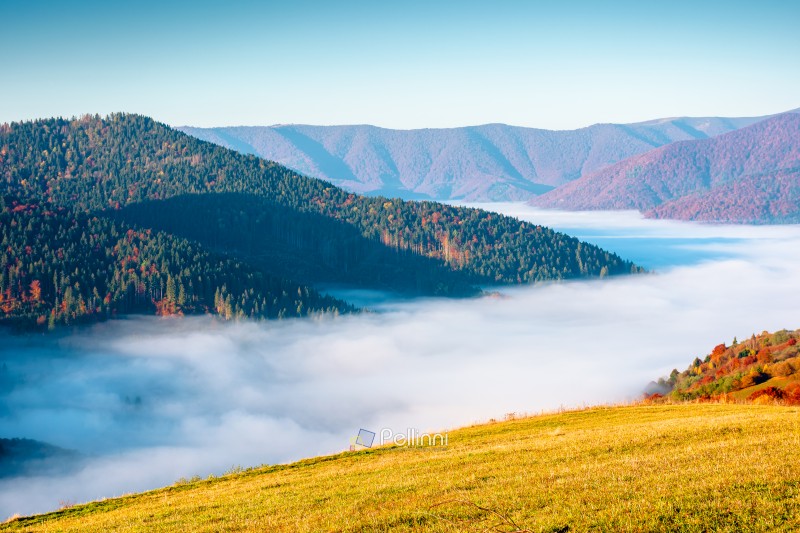valley in morning fog. carpathian mountain landscape in autumn. scenic view of an alpine countryside in fall season