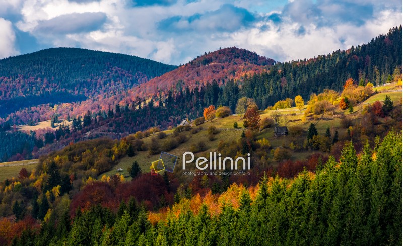 village on a hillside with forest in autumn. gorgeous and colorful mountainous scenery with great weather