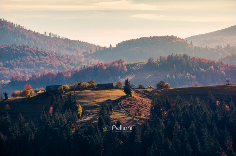 village on forested rolling hill in haze. beautiful countryside scenery in mountain of Romania at sunrise