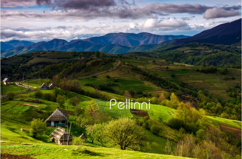 Countryside landscape in Carpathian mountains. village on grassy sunlit hills in the morning. dramatic sky over gorgeous mountain ridge in the distance