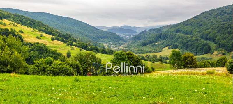 panoramic landscape with village in mountains behind the agricultural meadow with trees and  flowers on  hillside