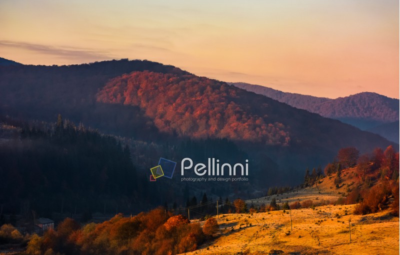 warm sunrise in mountainous countryside. beautiful autumnal landscape  in fine but hazy weather