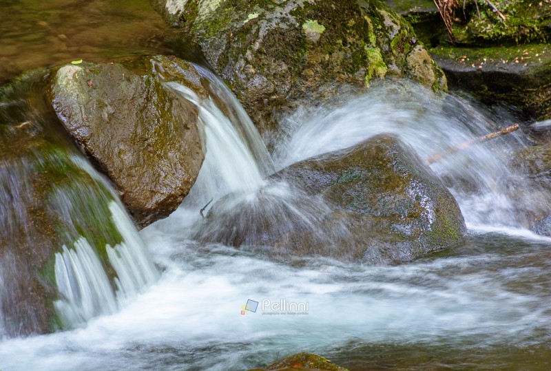 water flowing between mossy rocks. nature background with river through forest. fresh green environment during springtime. pristine carpathian ecosystem. long exposure