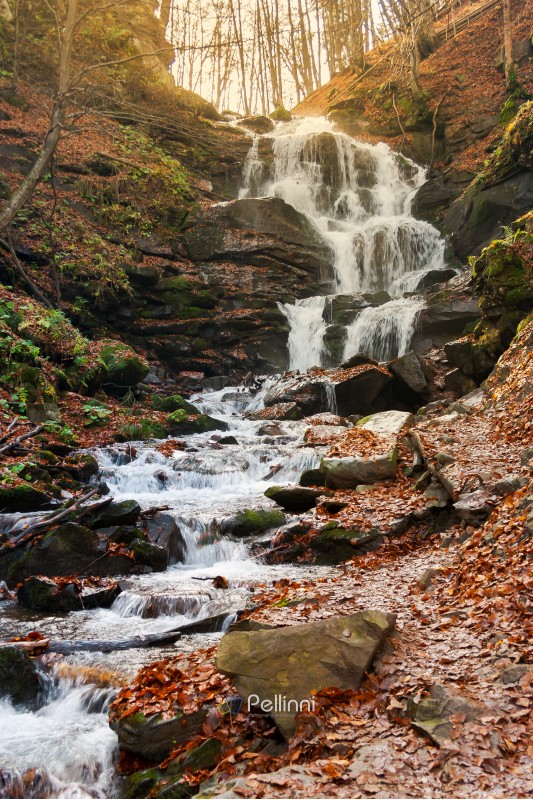 waterfall Shypot of Carpathian mountains in autumn. powerful stream of water. brown foliage on the rocks
