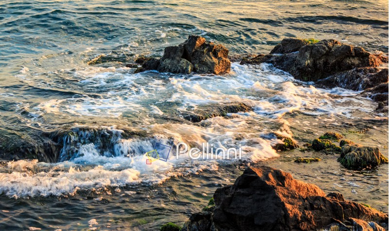 wave rolls onto the rocks on sea coast in morning light