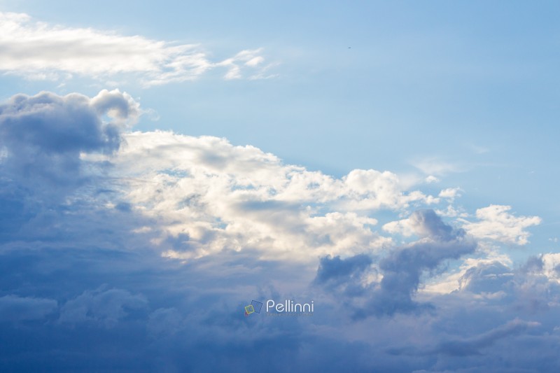 white cumulus clouds on a blue sky. beautiful nature background in afternoon light. sunny weather in summer