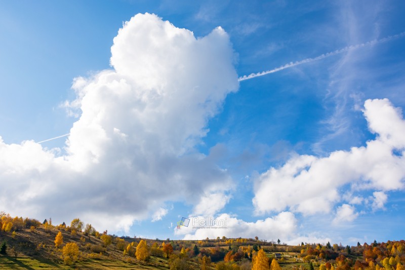 white cumulus clouds on a blue sky. wonderful nature background of atmosphere condition in day light. bright autumn weather forecast. fresh air. scenic cloudscape