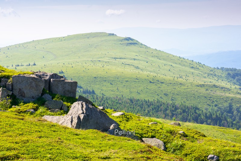 white sharp stones on the hillside. huge and sharp boulder. lovely carpathian mountain landscape in summer. huge rocks scattered among alpine grass. stunning terrain of smooth mountain