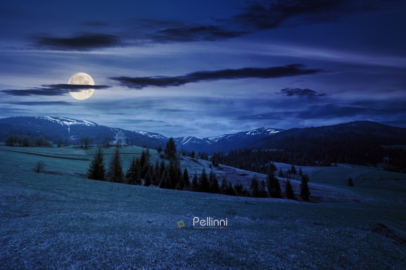 wide mountainous countryside landscape at night. forest on the rolling hills in the valley. distant ridge in full moon light under a dramatic starry sky with dark clouds