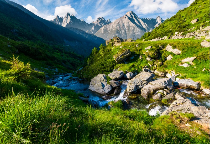 wild stream among the rocks. beautiful composite landscape with grassy hills in summer. mountain ridge with rocky peaks in the far distance under the blue sky with clouds