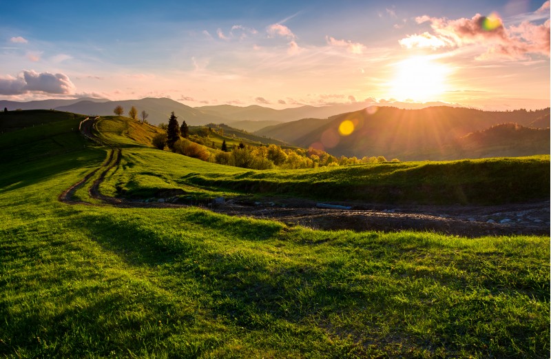 winding road along the grassy rural hill at sunset. gorgeous landscape of Carpathian mountain in springtime