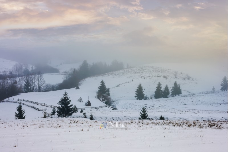 winter countryside on a foggy morning. mysterious scenery with trees on snowy slopes beneath a beautiful cloudy sky