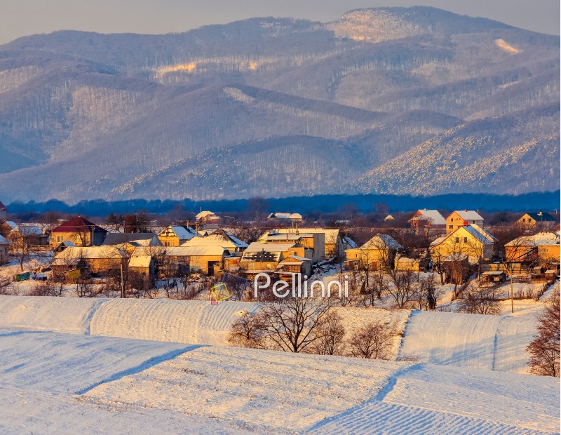 agricultural fields covered with snow near the village in mountainous area in winter carpathian landscape at sunrise
