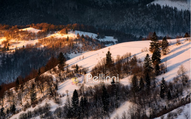 winter sunrise in Carpathian mountains. beautiful landscape with snowy hillsides