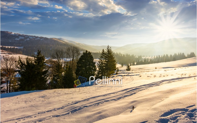 winter time in mountainous rural area. gorgeous countryside with forested hills and snowy meadows at the foot of mighty mountain ridge