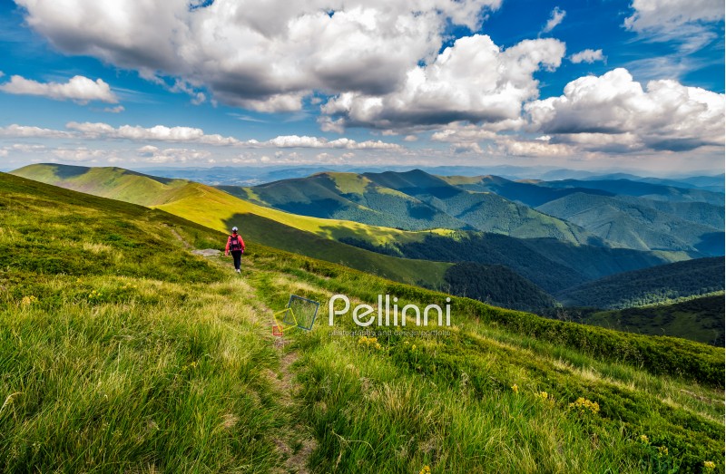 woman in red hikes through grassy slope in mountains. beautiful summer landscape in fine weather with few clouds on a blue sky
